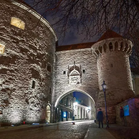 2-bed, 1,5-bath Old Town Flat With Sauna And Bar * Ταλίν