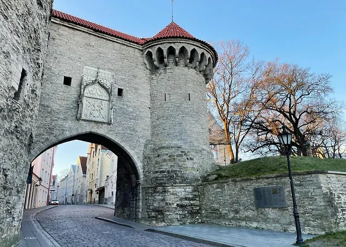 2-bed, 1,5-bath Old Town Flat With Sauna And Bar アパート