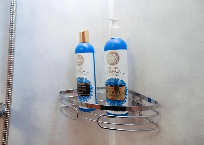 アパート 2-bed, 1,5-bath Old Town Flat With Sauna And Bar タリン