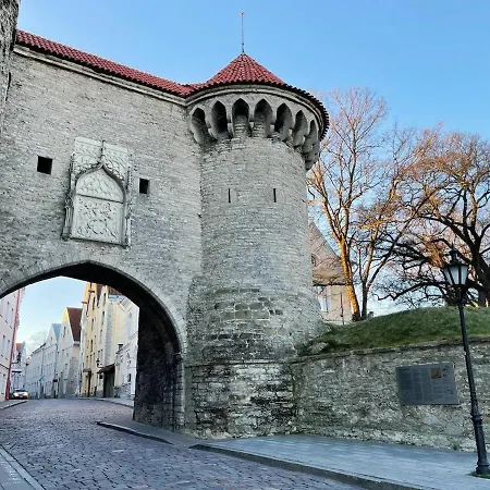 2-bed, 1,5-bath Old Town Flat With Sauna And Bar Lejlighed
